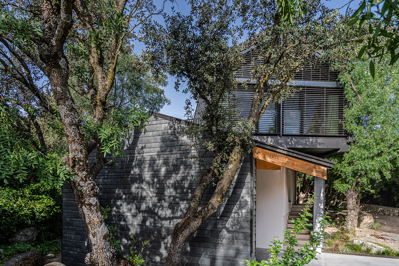 Un refugio Passivhaus entre las copas.