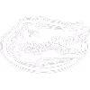 Florida Gators logo