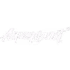 Aquaplanet logo