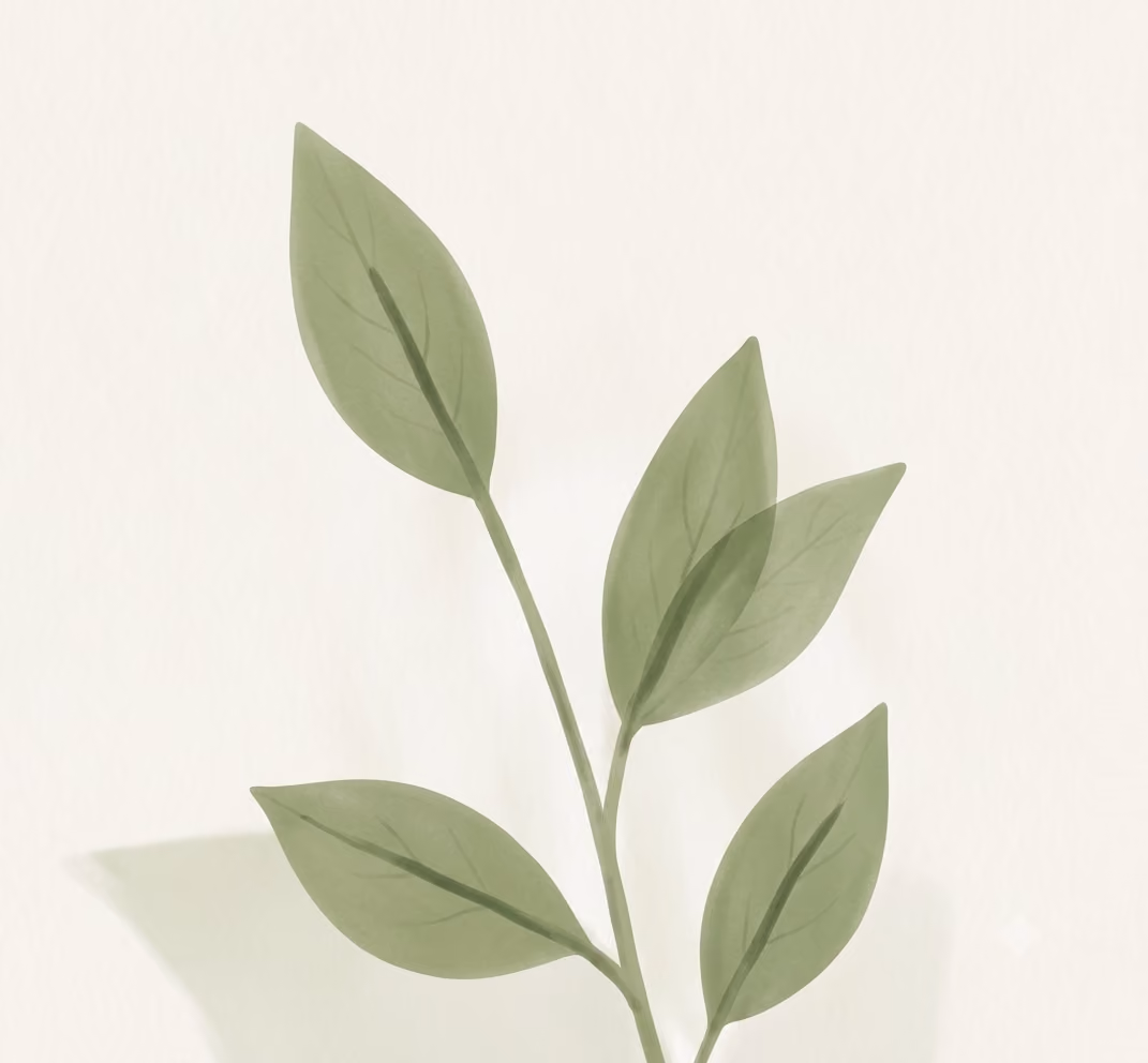 Illustration of a green leafy plant branch with five pointed leaves on a light background.