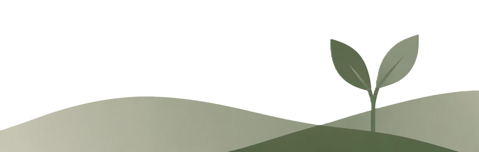 Magnifying glass over bar chart with upward arrow and a growing plant to the side.