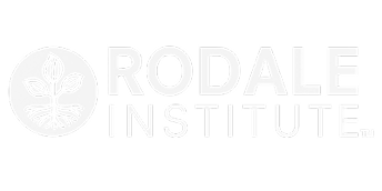 Logo 5