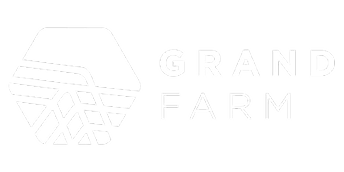 Logo 6