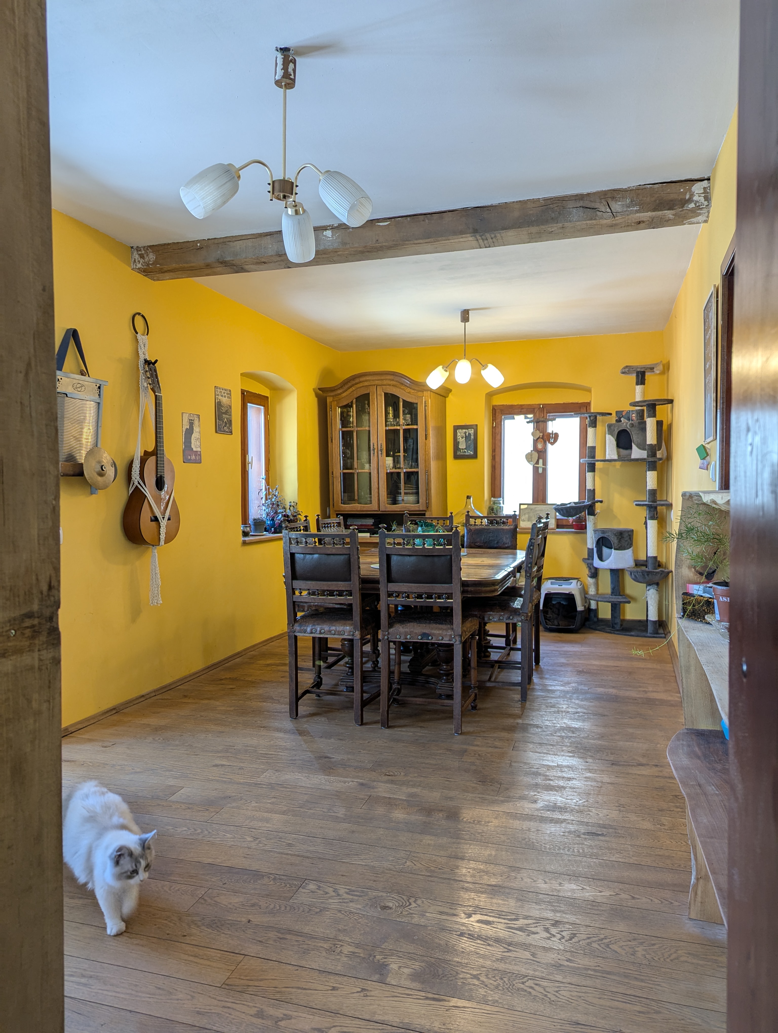 Interior room at Art Catz Residency