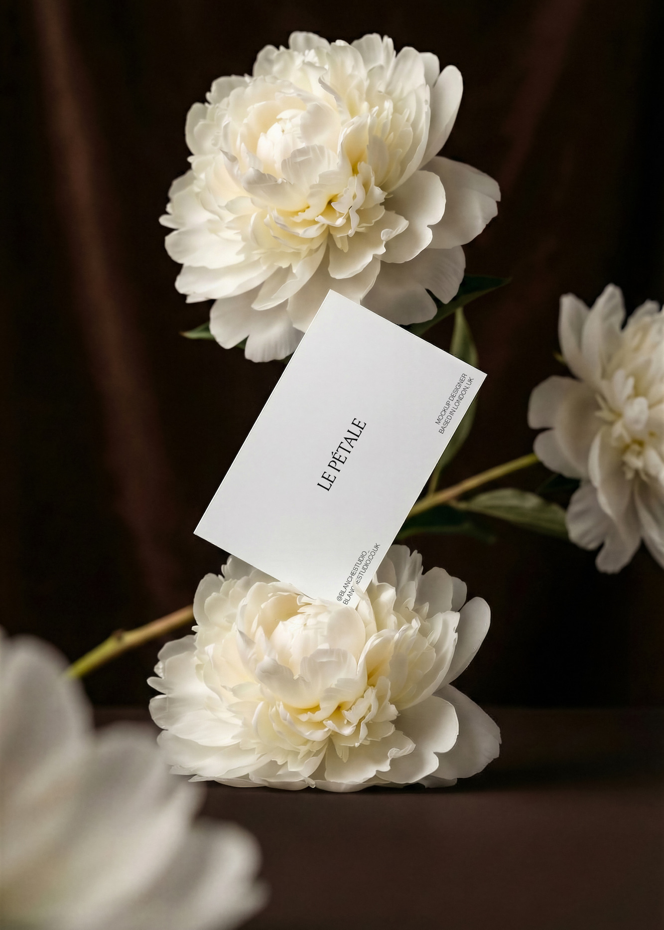 White peony flowers with a white business card mockup in the centre that reads 'LE PÉTALE' against a dark brown background.