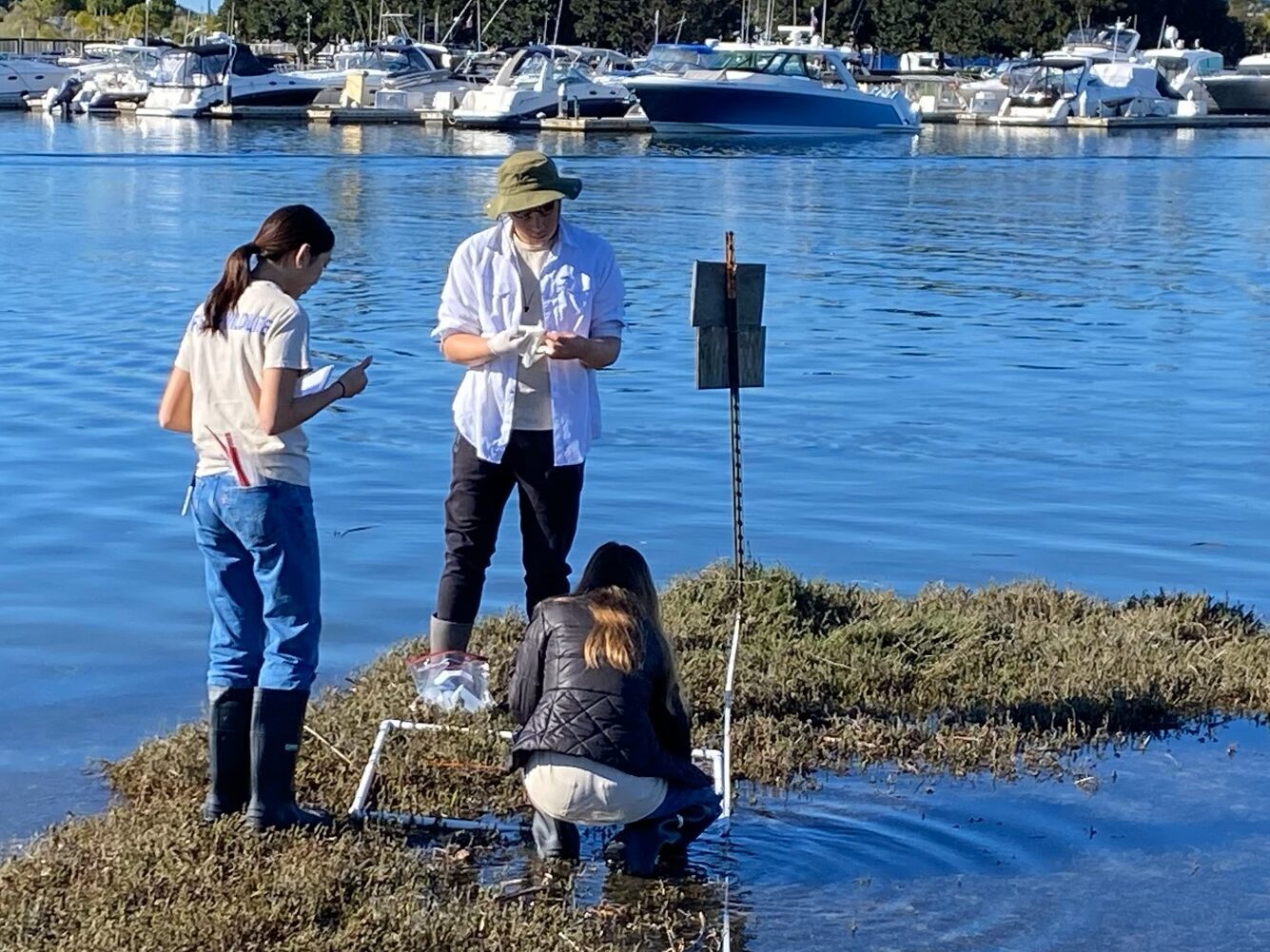 Picerne Family Foundation Global Sustainability Project Students Begin Work on Local Projects.