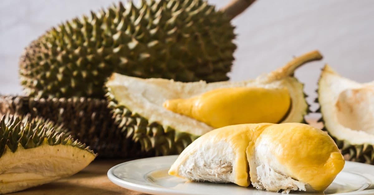 "Mao” (Mount) Faber hosted a durian feast amongst a rustic set-up that provided an old-school vibe combined with a birds-eye view of the Harbourfront.