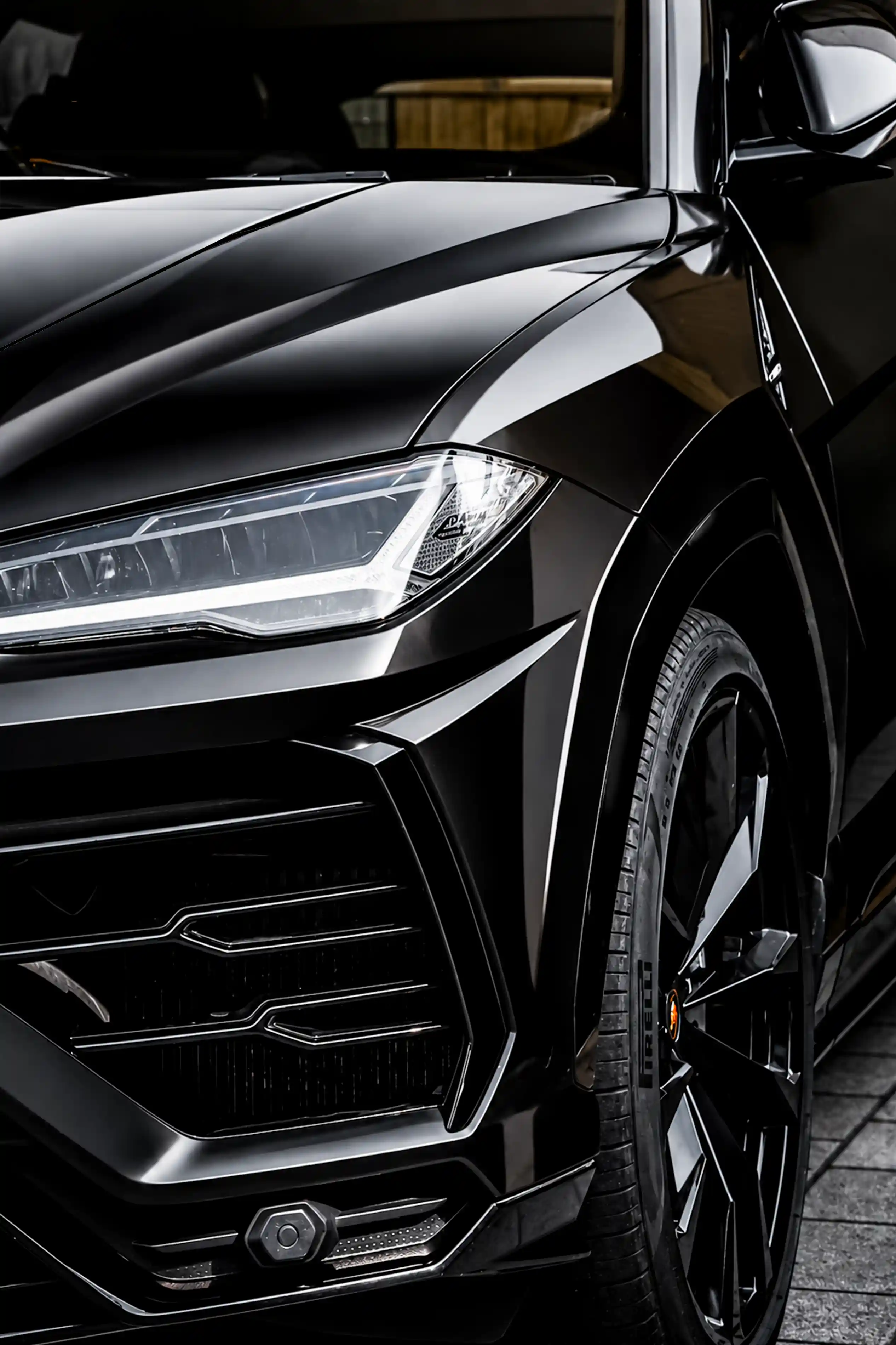 KING of Gloss — qq5