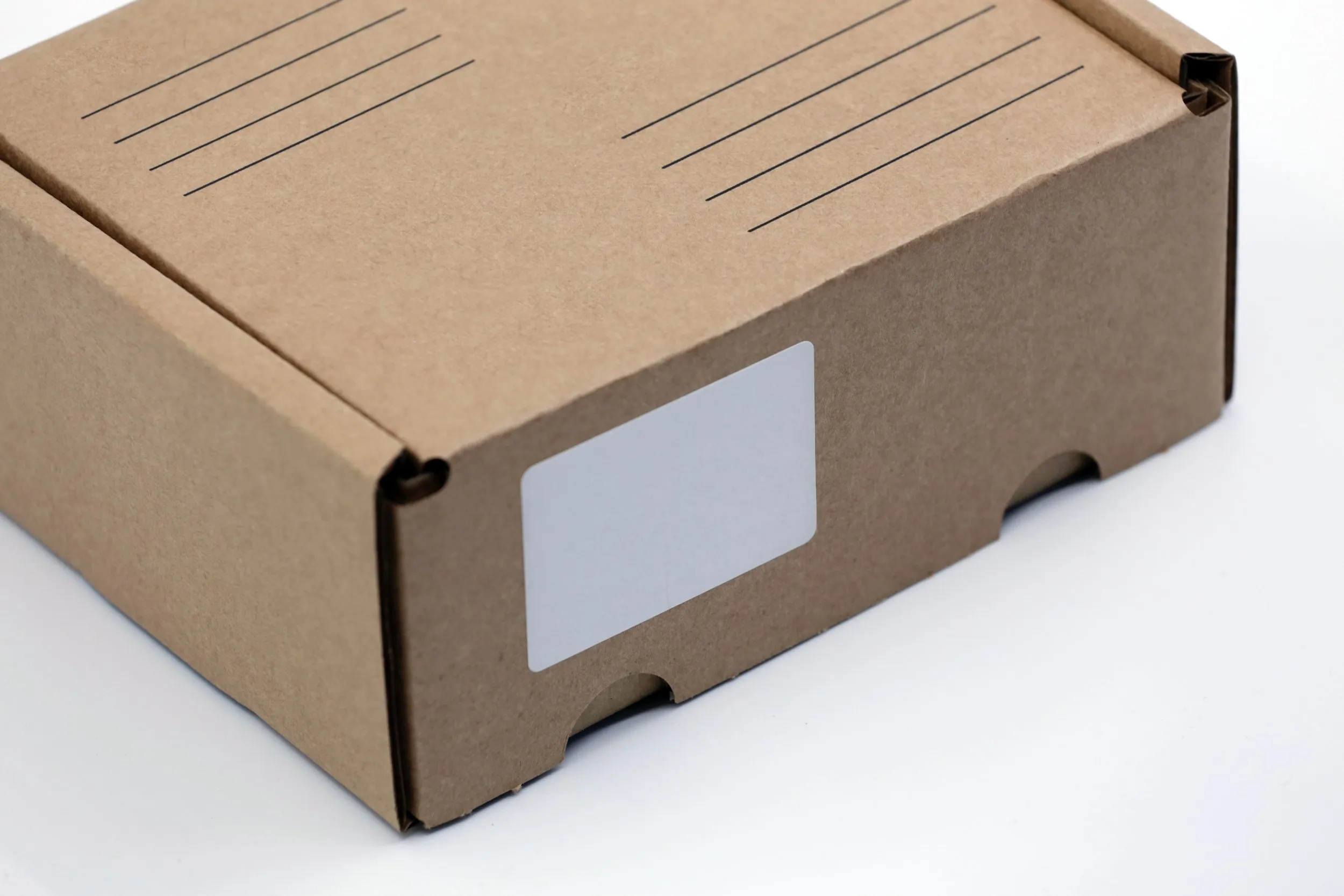 Blank cardboard box