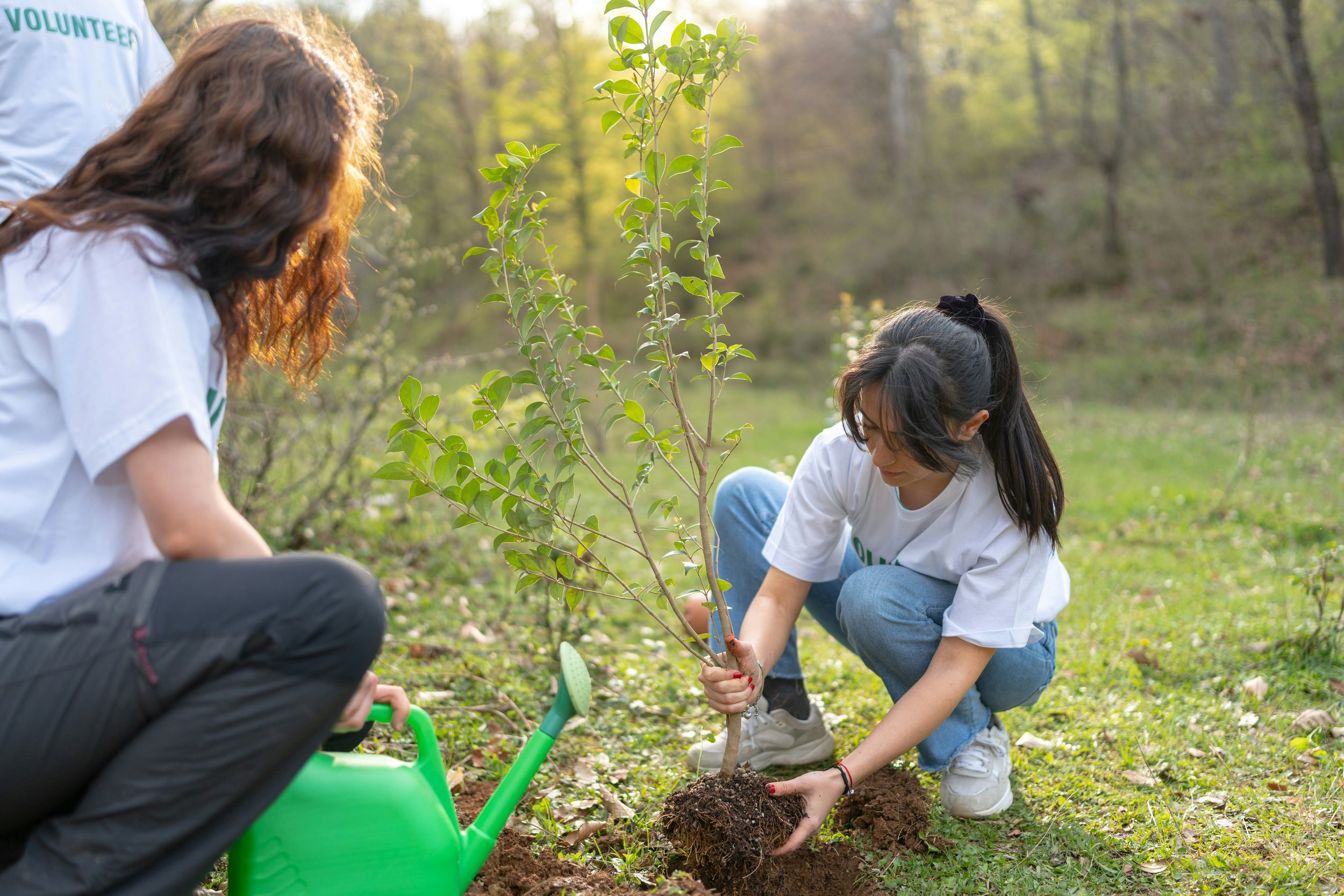 Giving back through volunteer work
