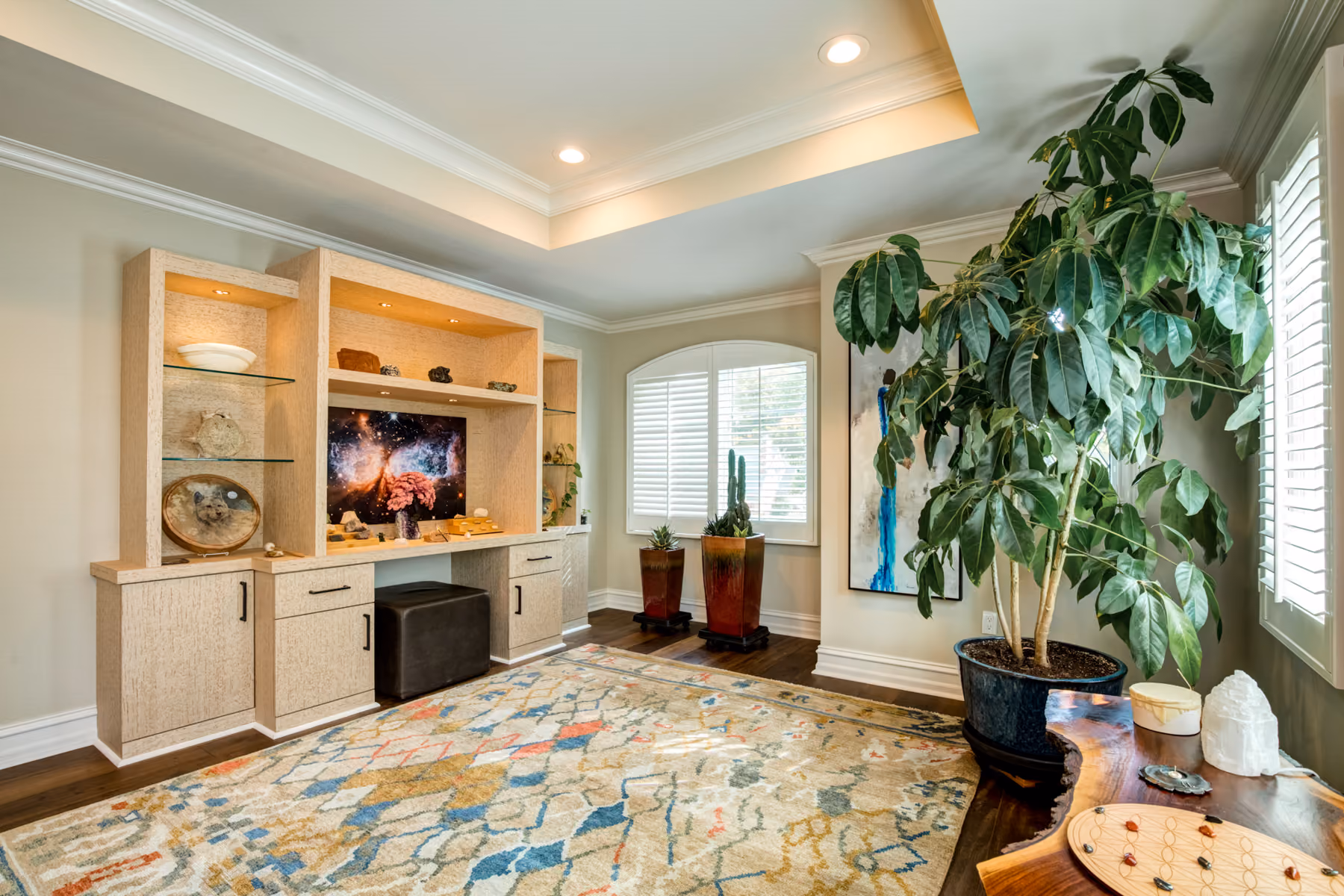 Bright living room with wooden shelves, large green plant, two potted cacti, and a colorful rug.