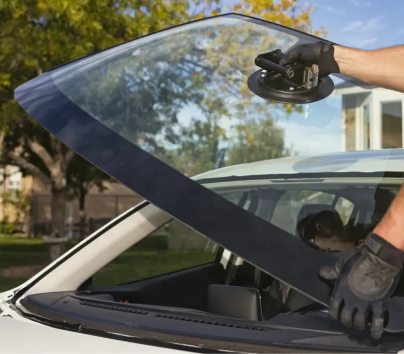 Technician setting a new windshield into a vehicle with a suction lifter