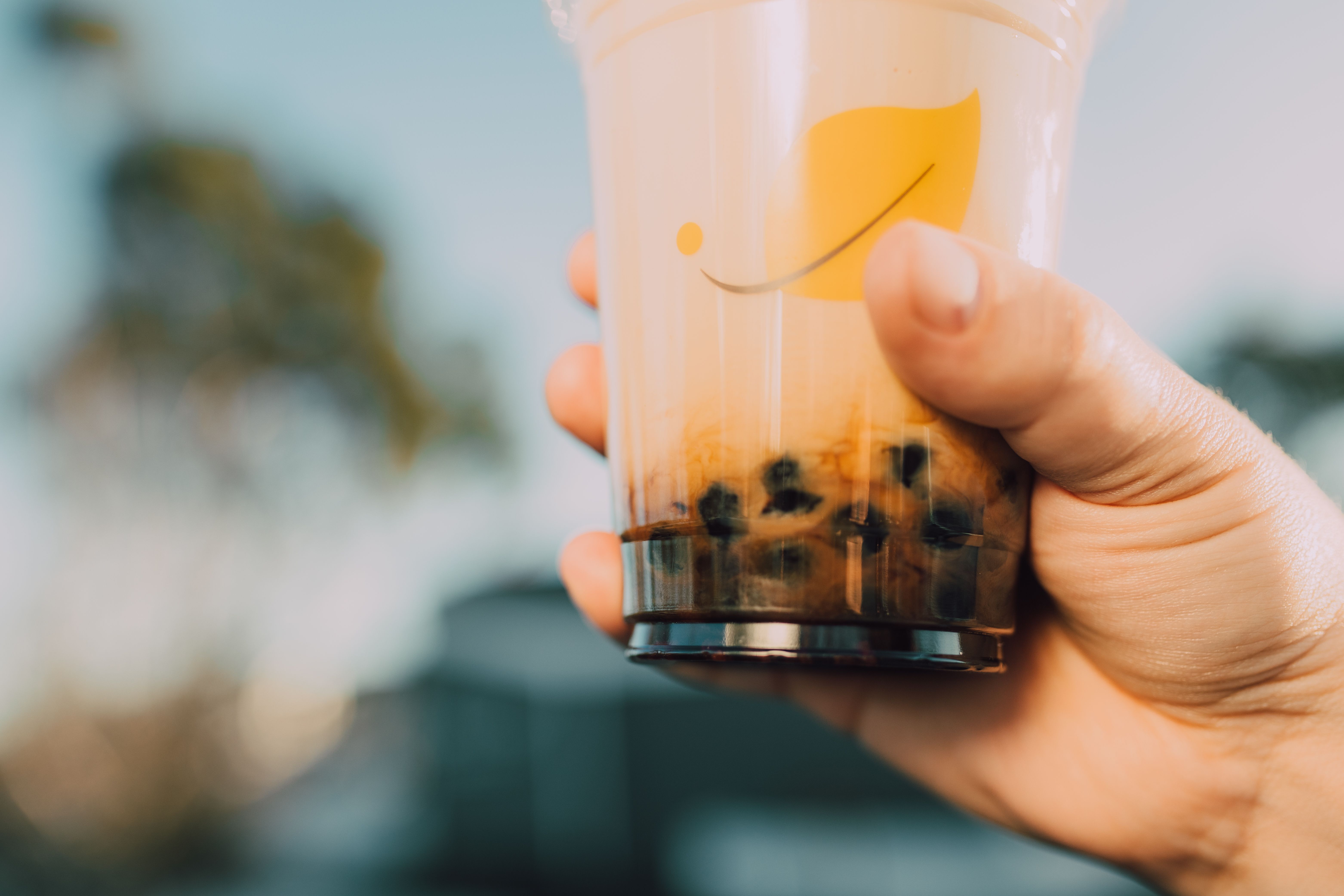 Hokkaido Caramel Milk Tea