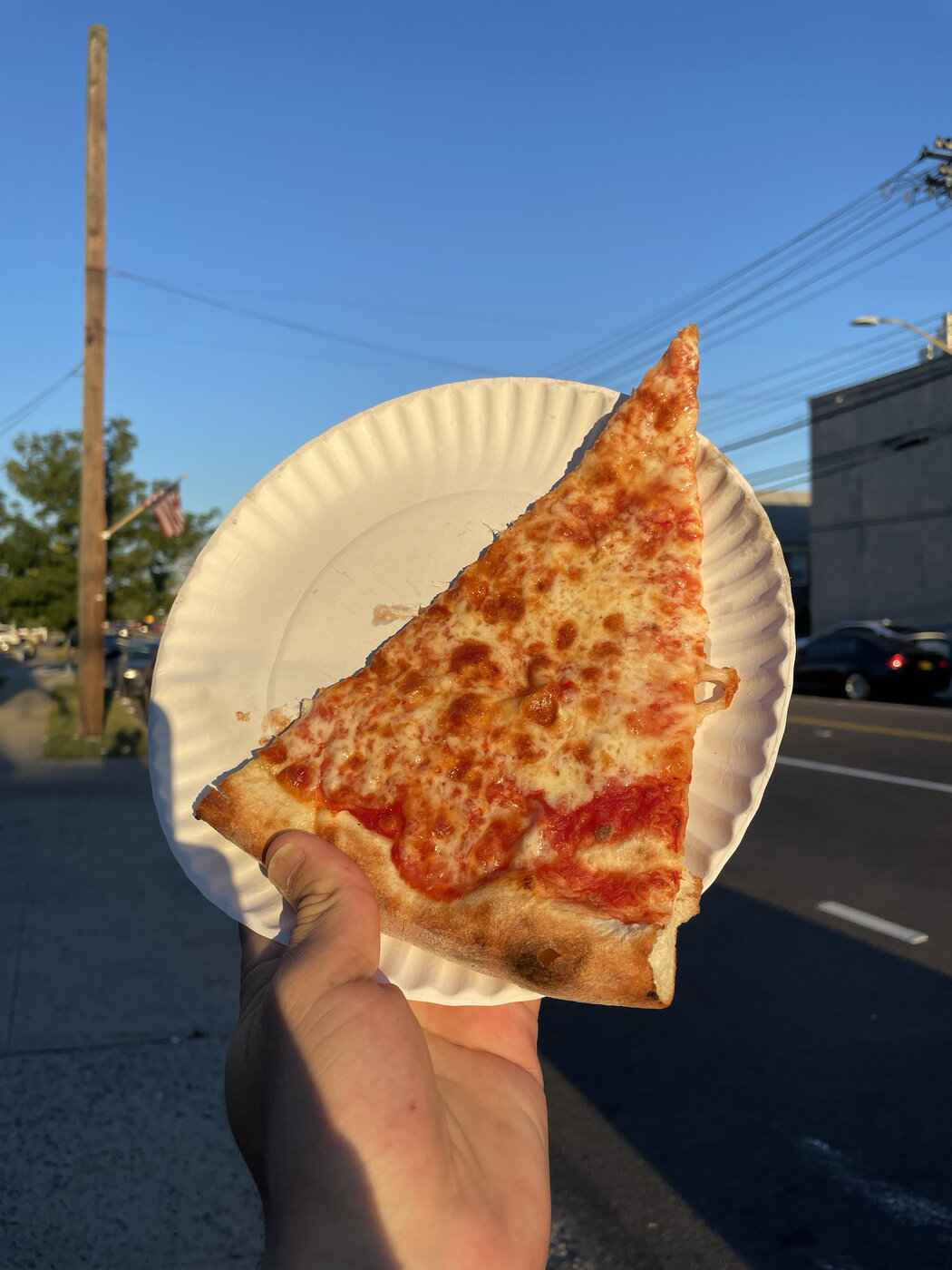 What Makes New York Pizza Different: A Slice of History