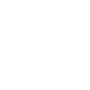 Brain