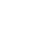 Users icon