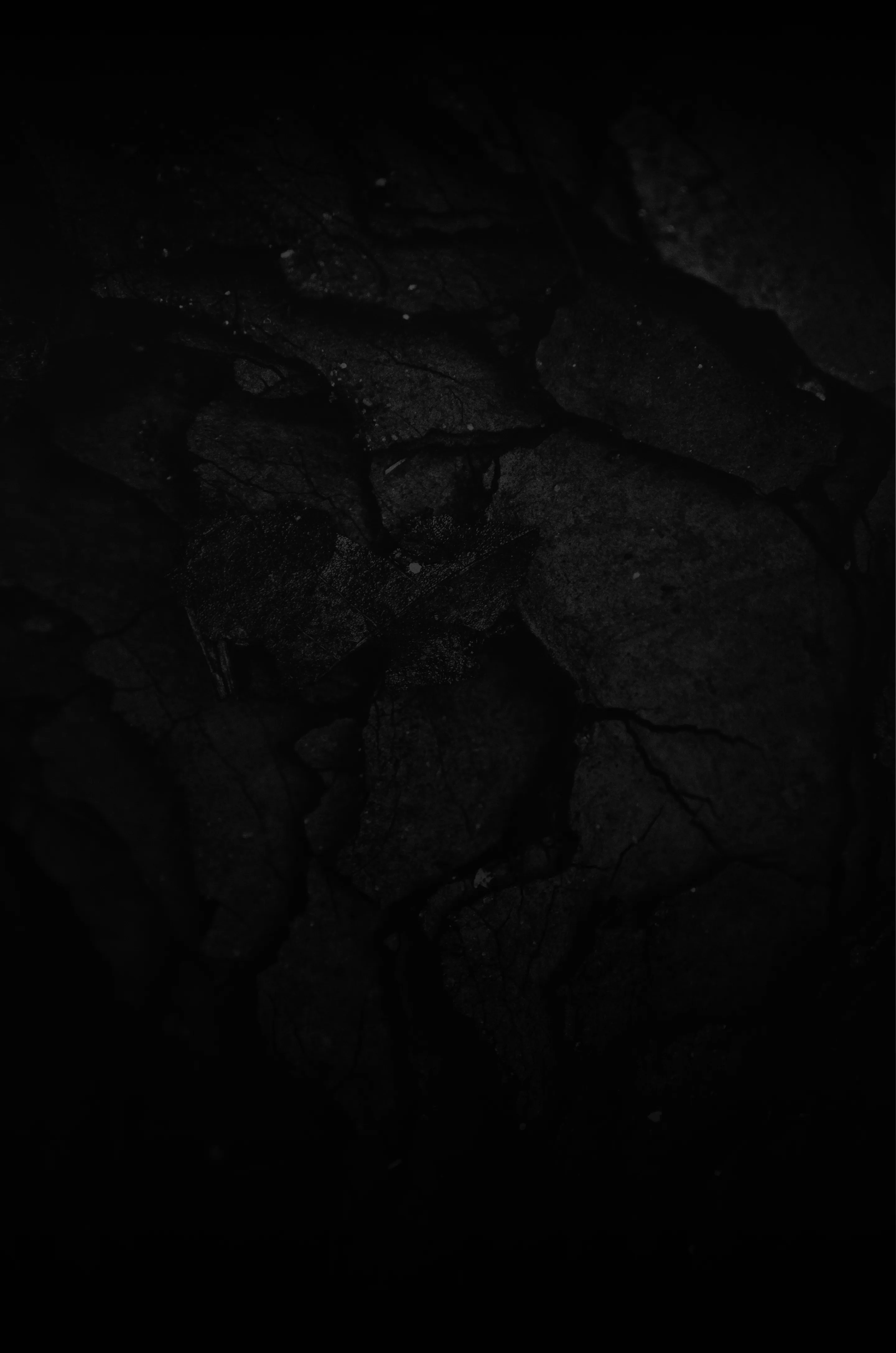 Close-up of dark cracked soil or dried earth with visible leaf imprints.