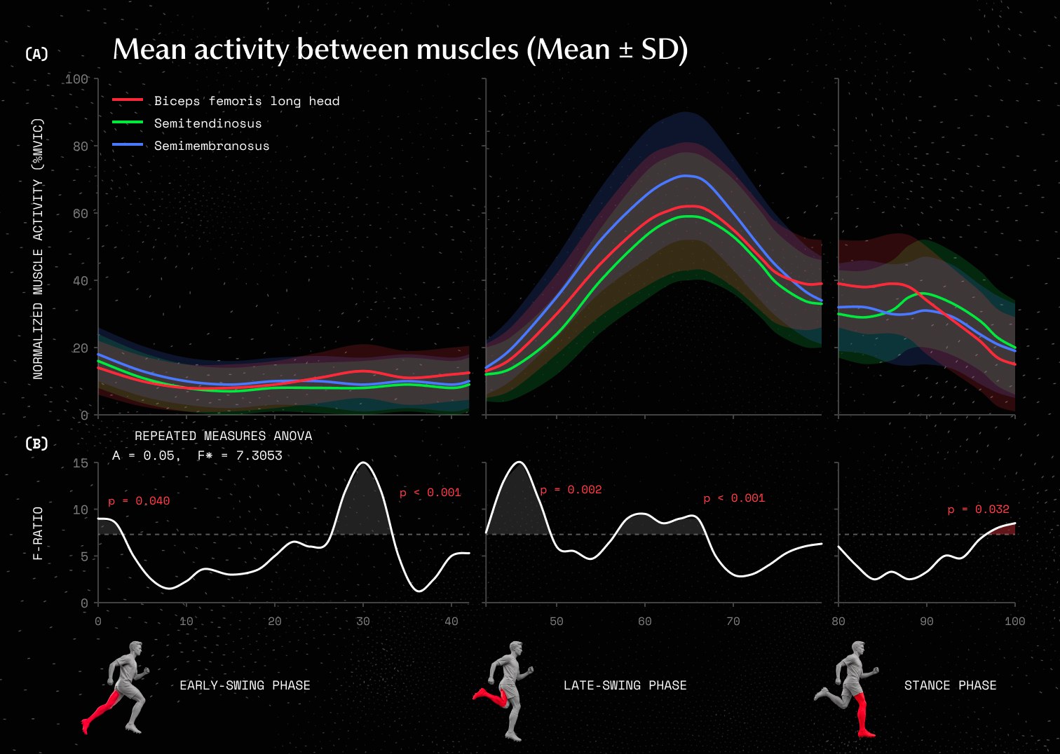 Chart of mean muscle activity of the biceps femoris long head, semitendinosus and semimembranosus across the early-swing, late-swing and stance phases of high-speed running