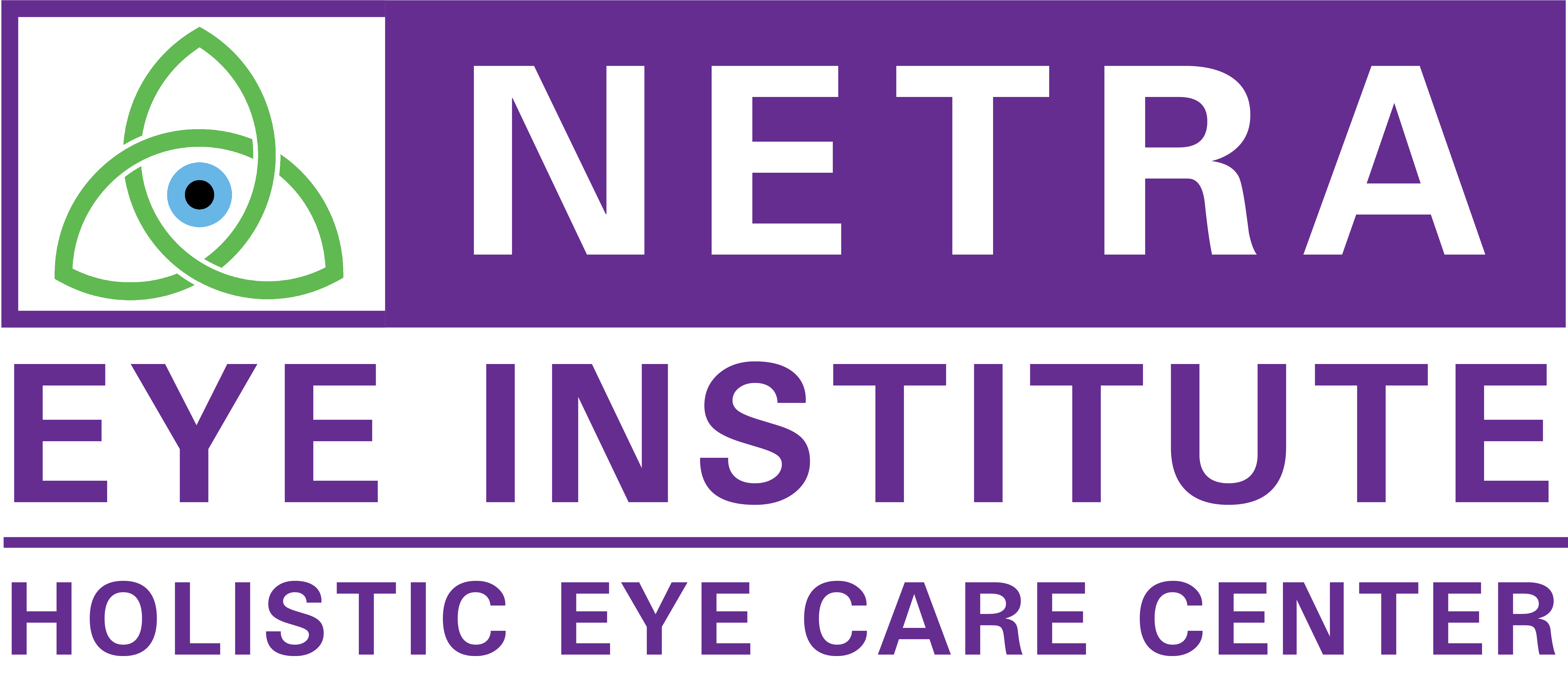 Netra Eye Institute logo