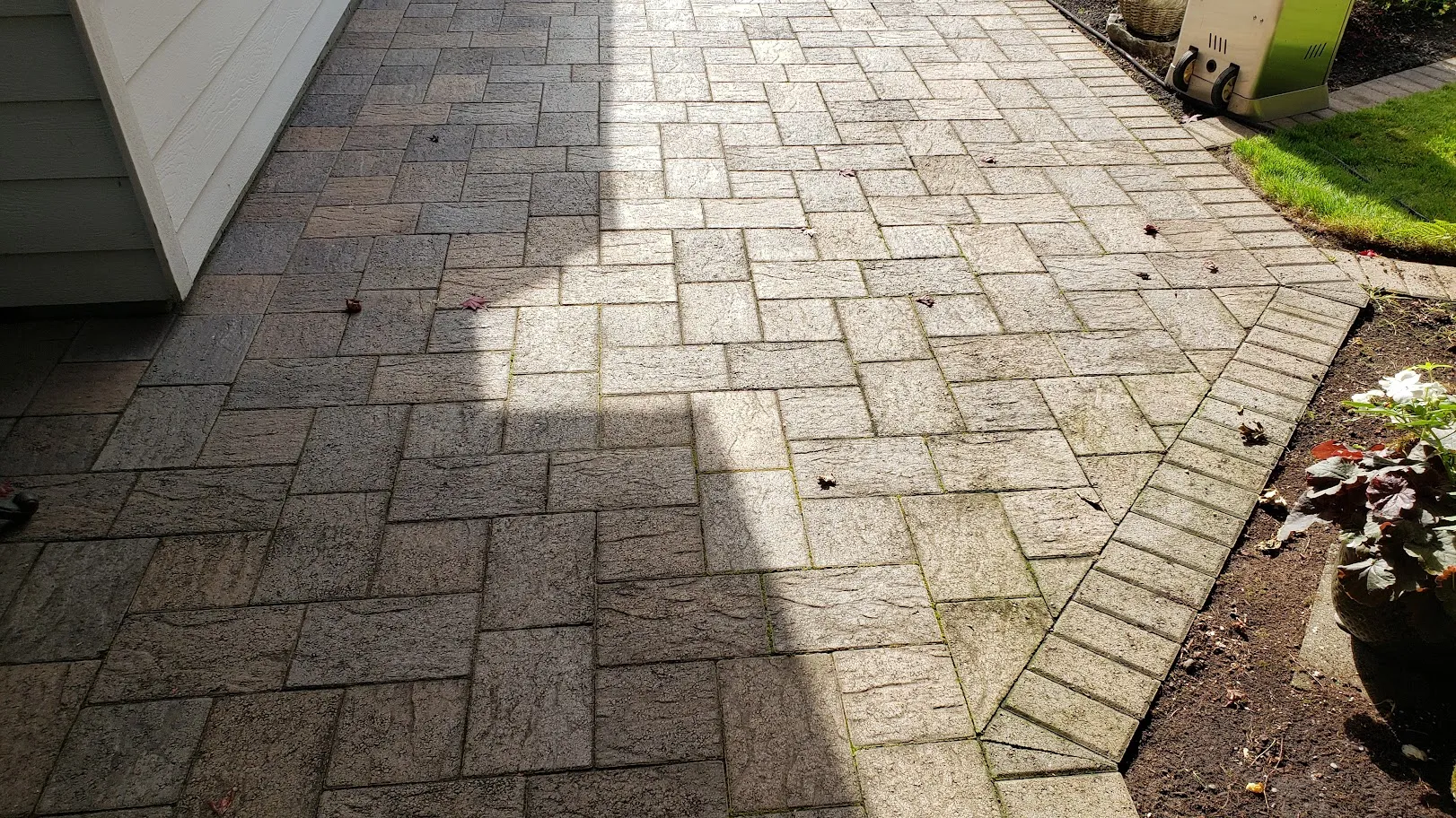 Residential paver patio before restoration, with moss and algae growing in the joints