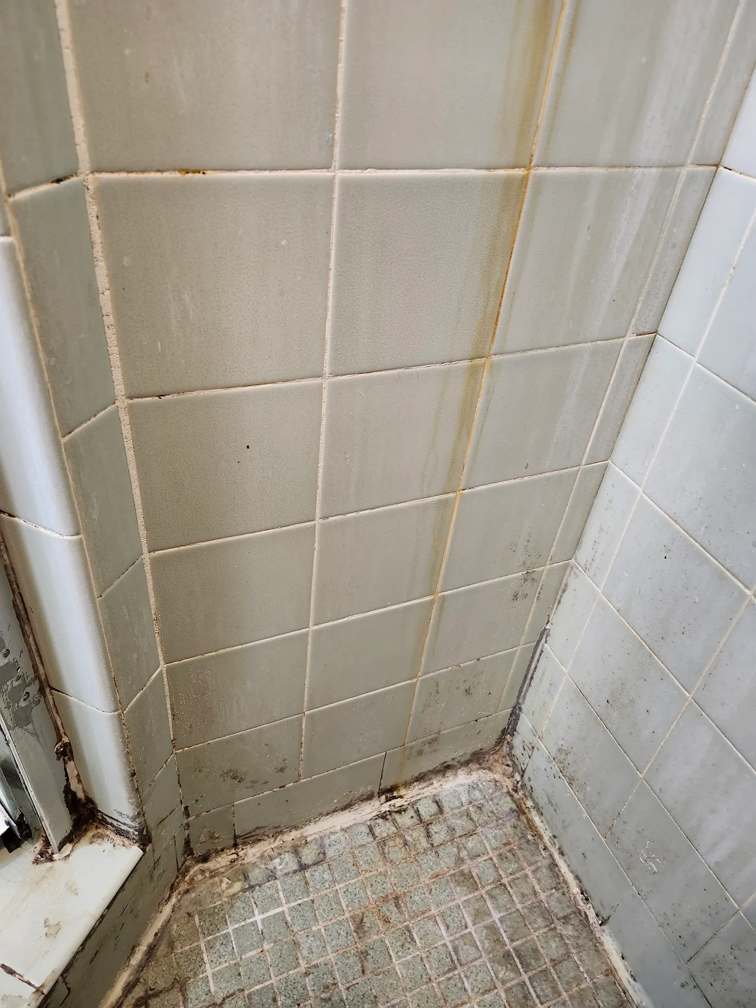 A tiled shower corner before cleaning, rust running down one grout line, black growth through the joints and a failed base joint above a soiled mosaic floor