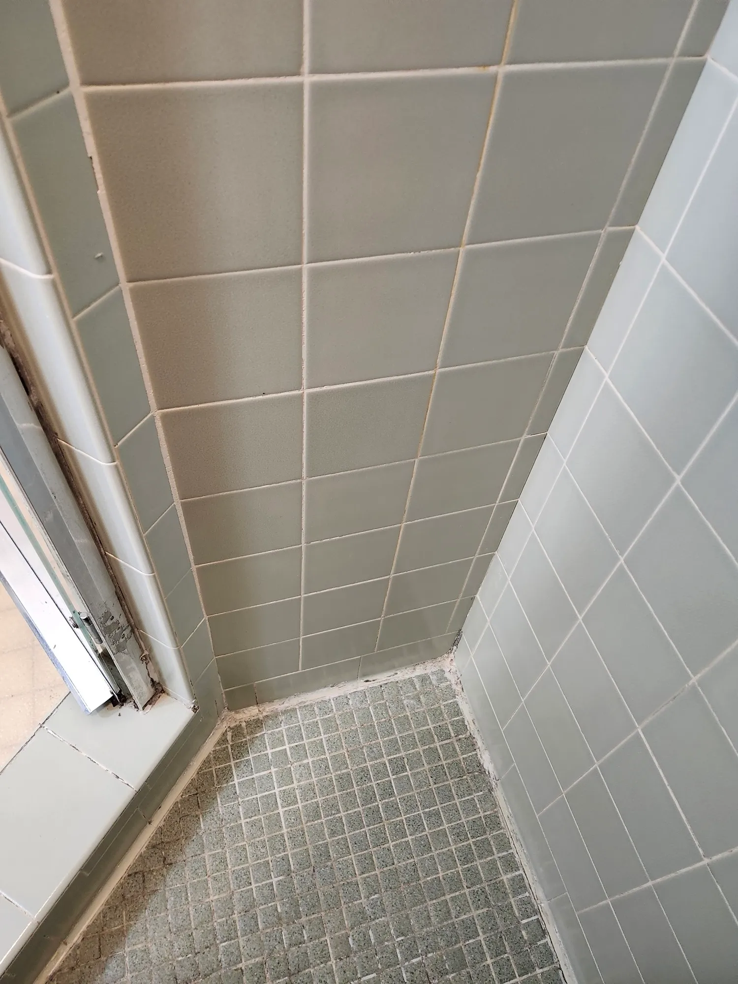 The same shower corner after cleaning, the rust stain and growth gone, grout lines uniform and the mosaic floor clean