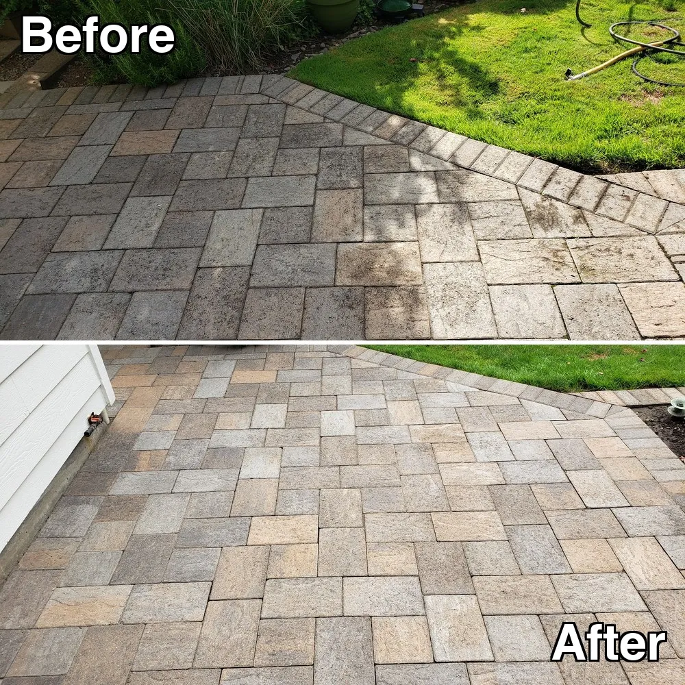 Before and after: a paver patio meeting the lawn edge, darkened by moss and organic staining, cleaned back to bright tan stone
