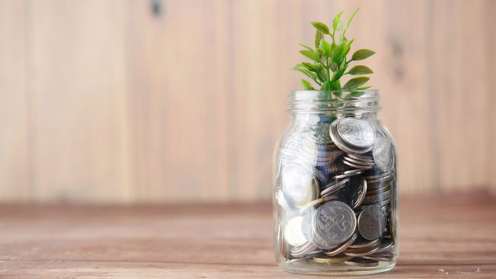 Glass jar of coins with a seedling growing from the top