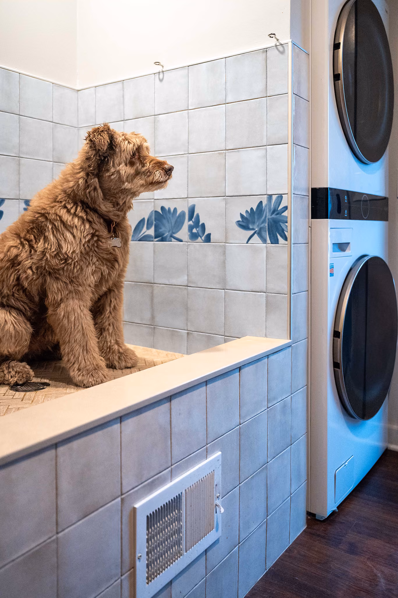 Dog sitting on the ledge of the tiled dog-wash station in the laundry room, next to a stacked washer and dryer