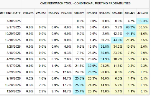 CME FedWatch table showing Fed rate target probabilities for 2025–2026.