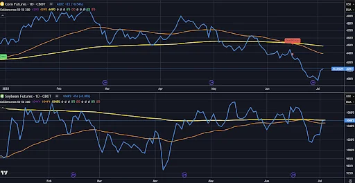 Two-panel chart comparing corn and soybean futures price trends.