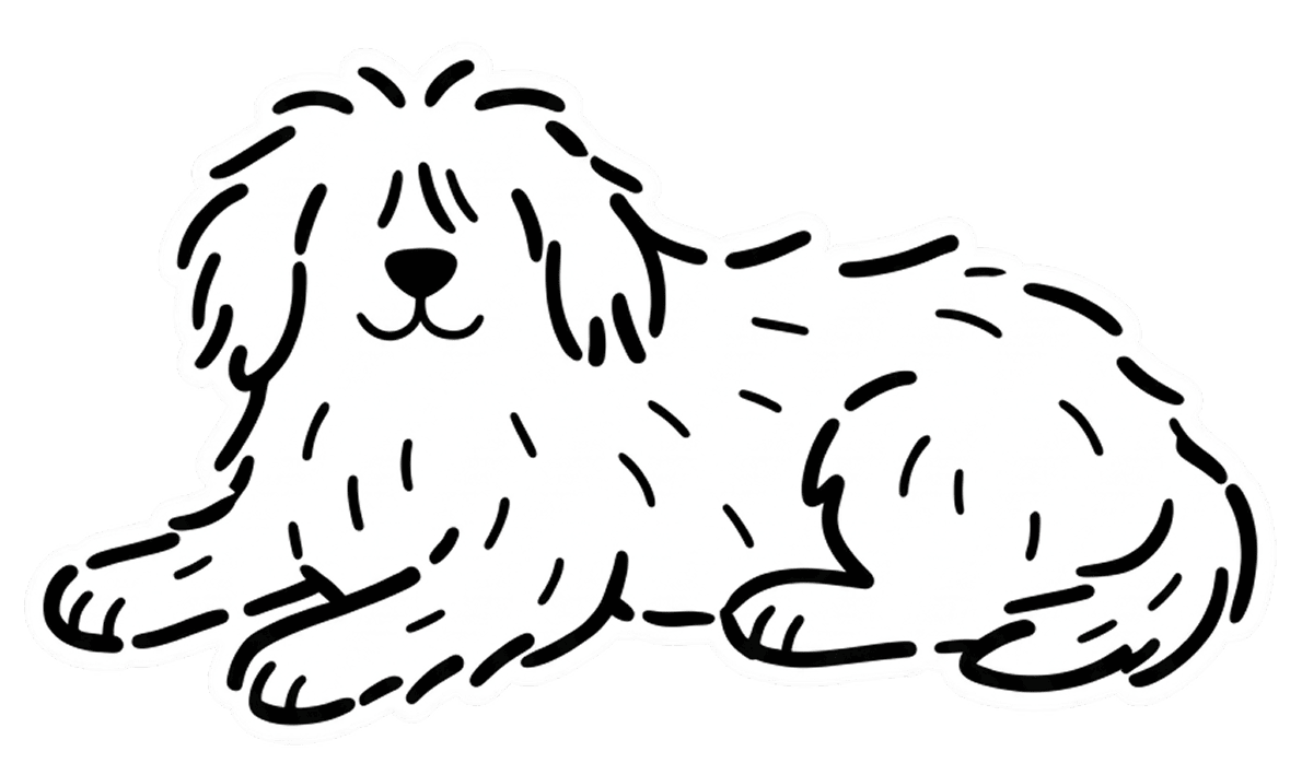 Line illustration of a shaggy dog lying down