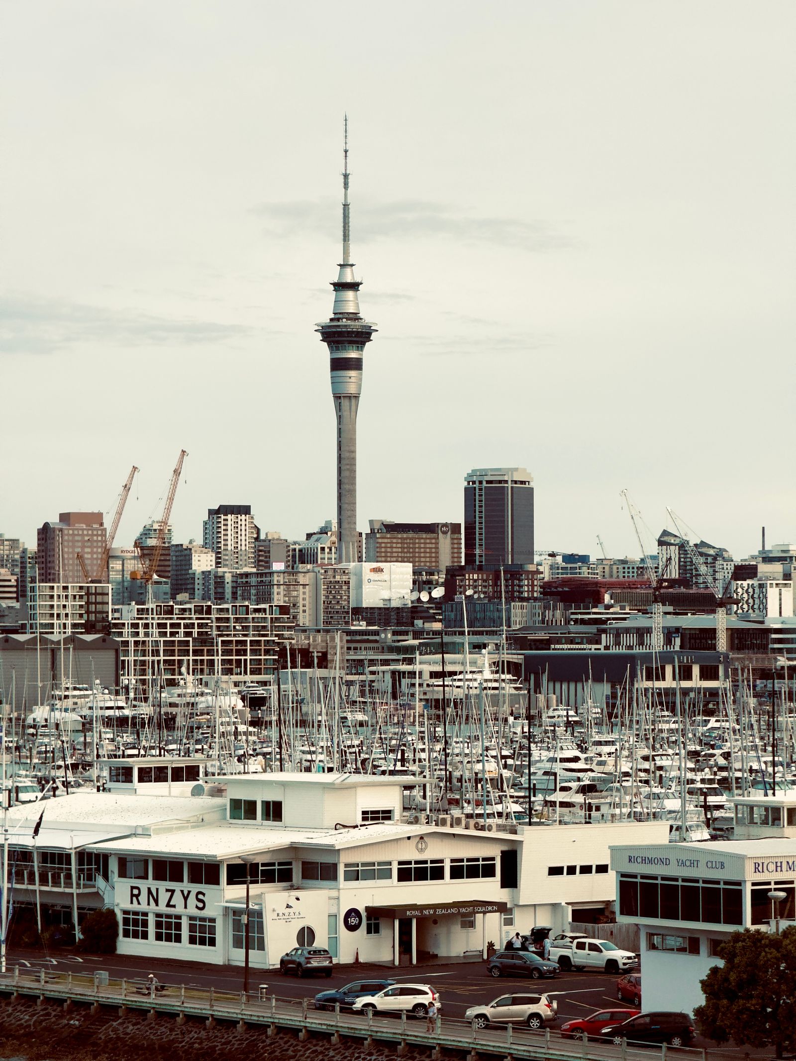 Best Networking Events in Auckland: Where Professionals Actually Connect
