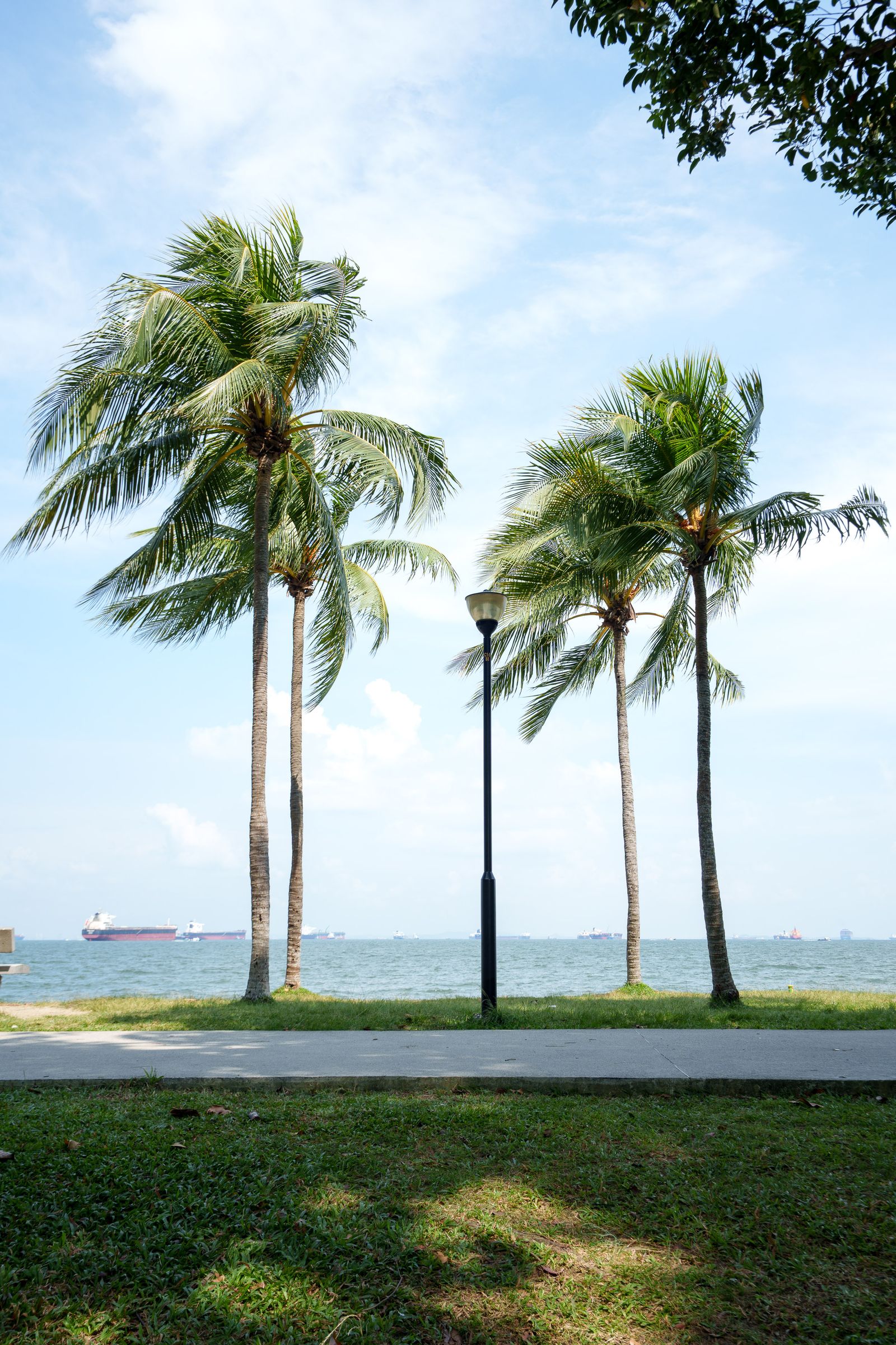 Things to Do in Singapore This Weekend