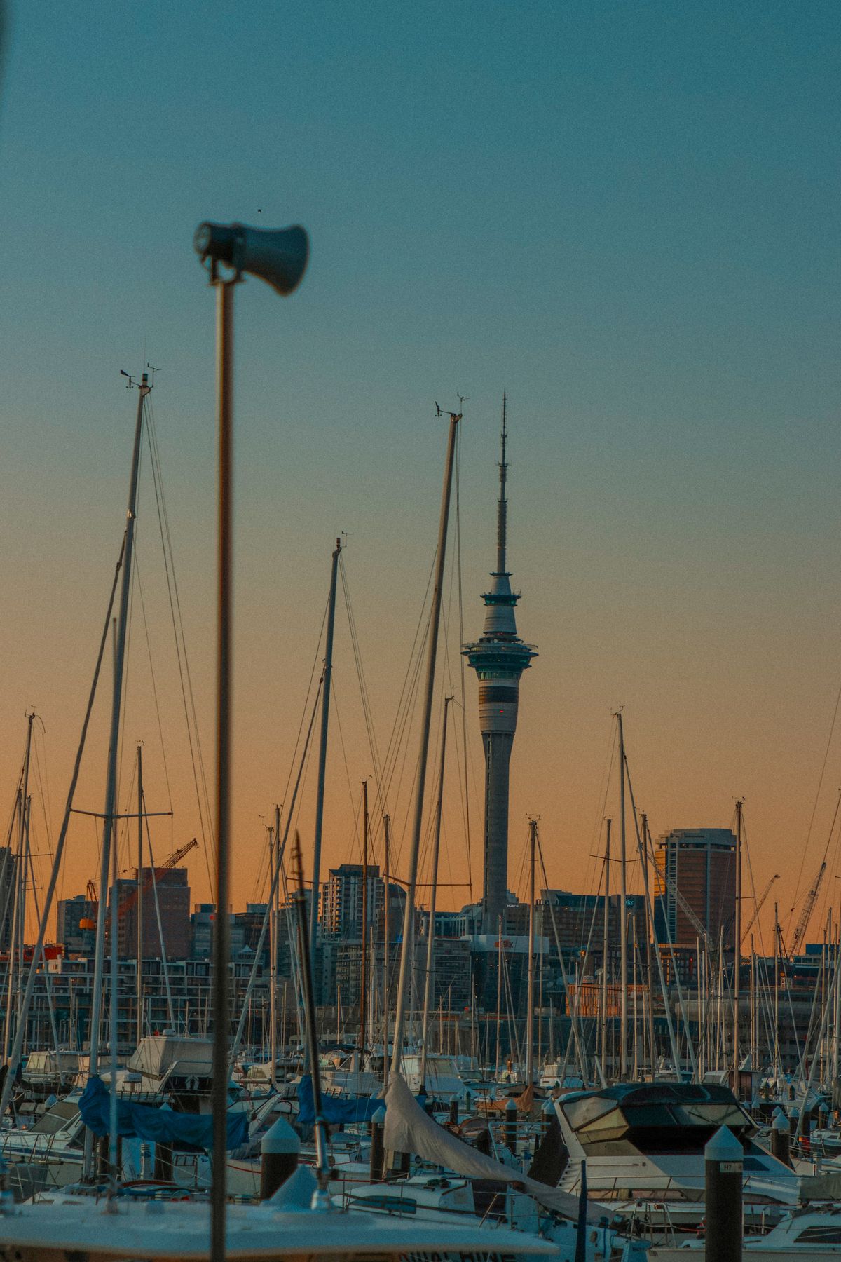 Yachts moored in Auckland's Waitemata Harbour with the Sky Tower beyond