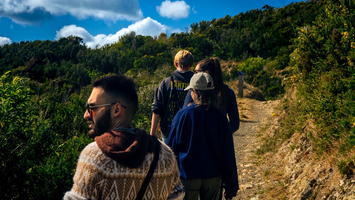 A group hiking a lush New Zealand trail together