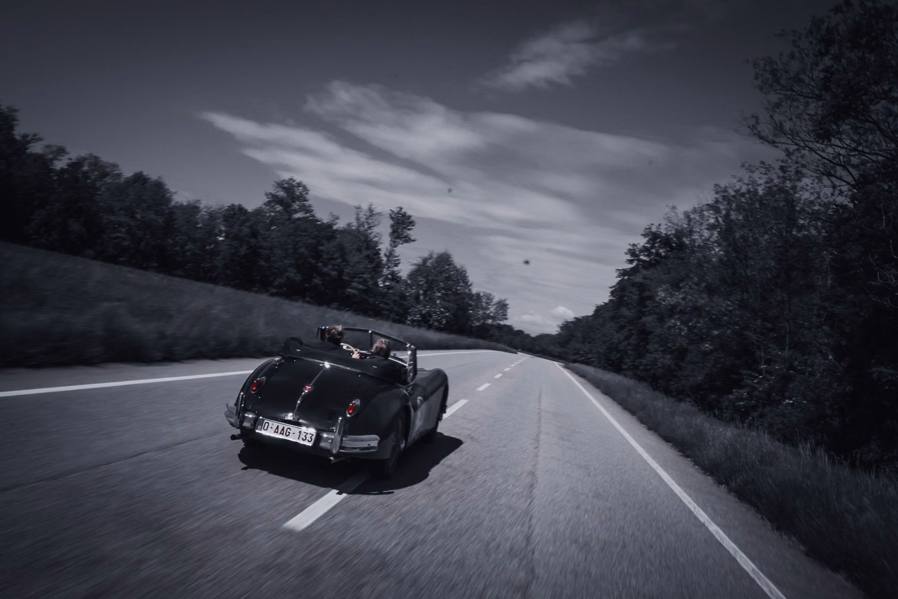 Jaguar op de openbare weg