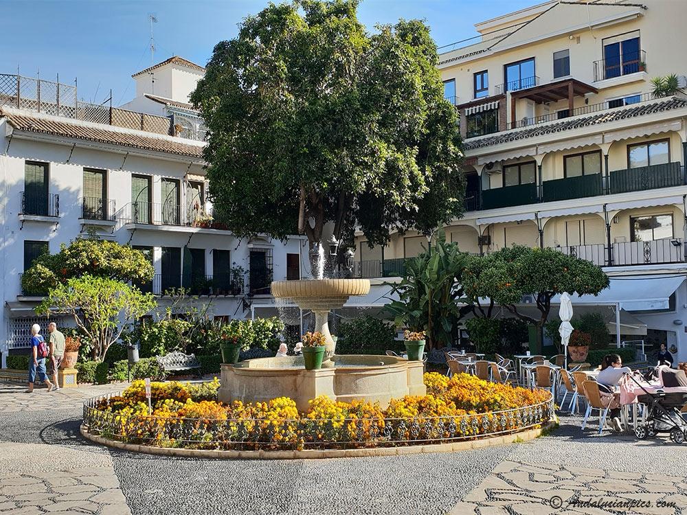 Hosted TRAVEL4PICKLE experience in Estepona