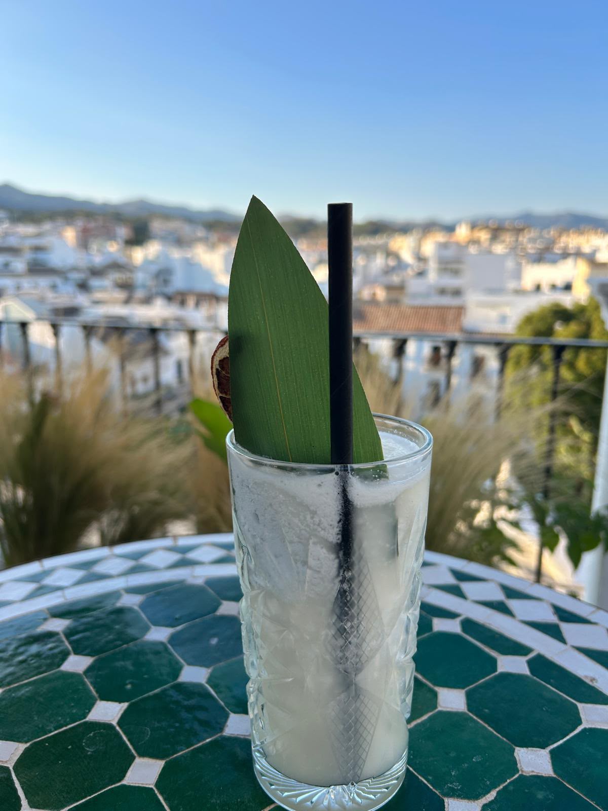 Estepona group experience
