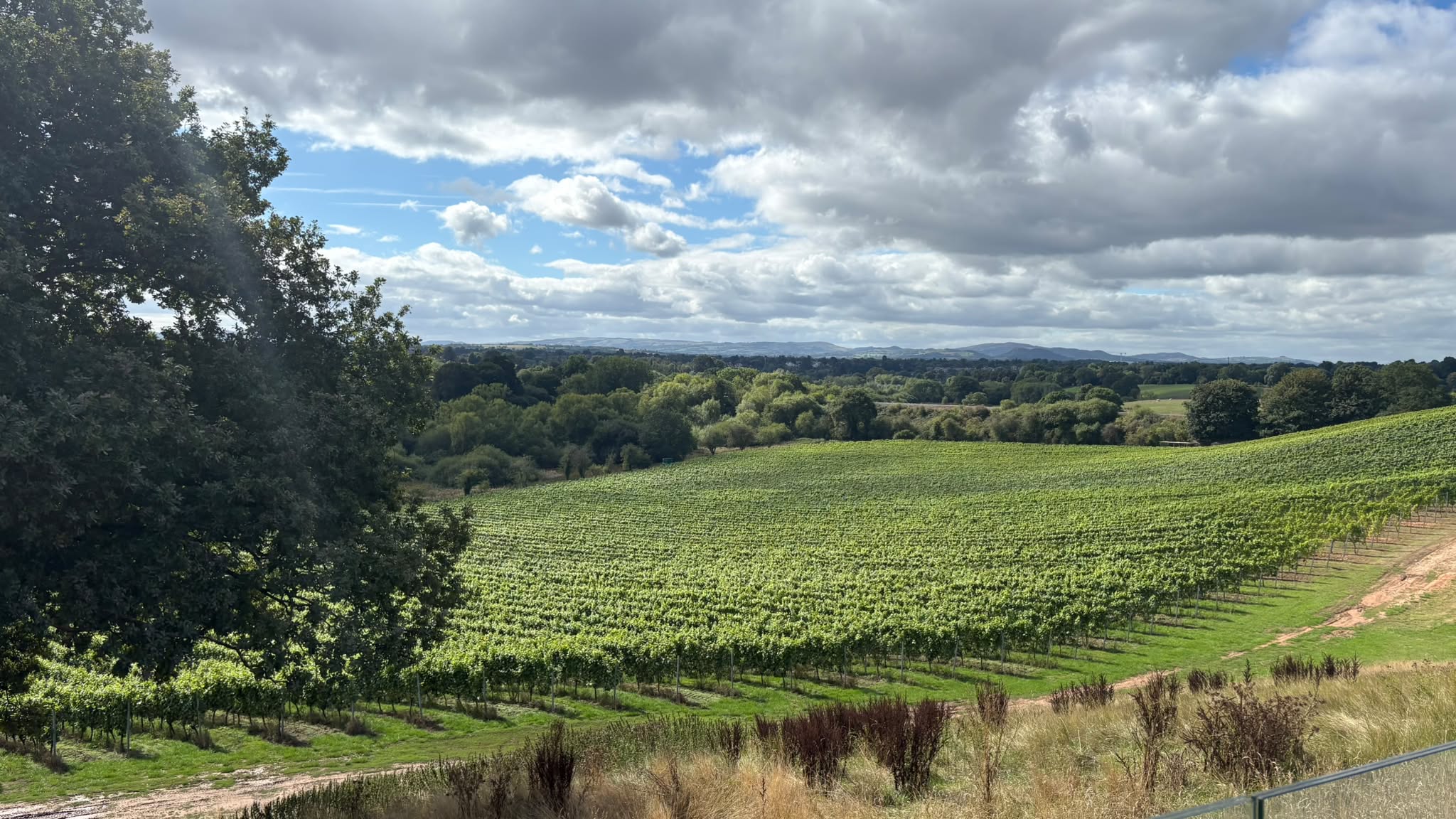 Wine tasting experience included in the rural package