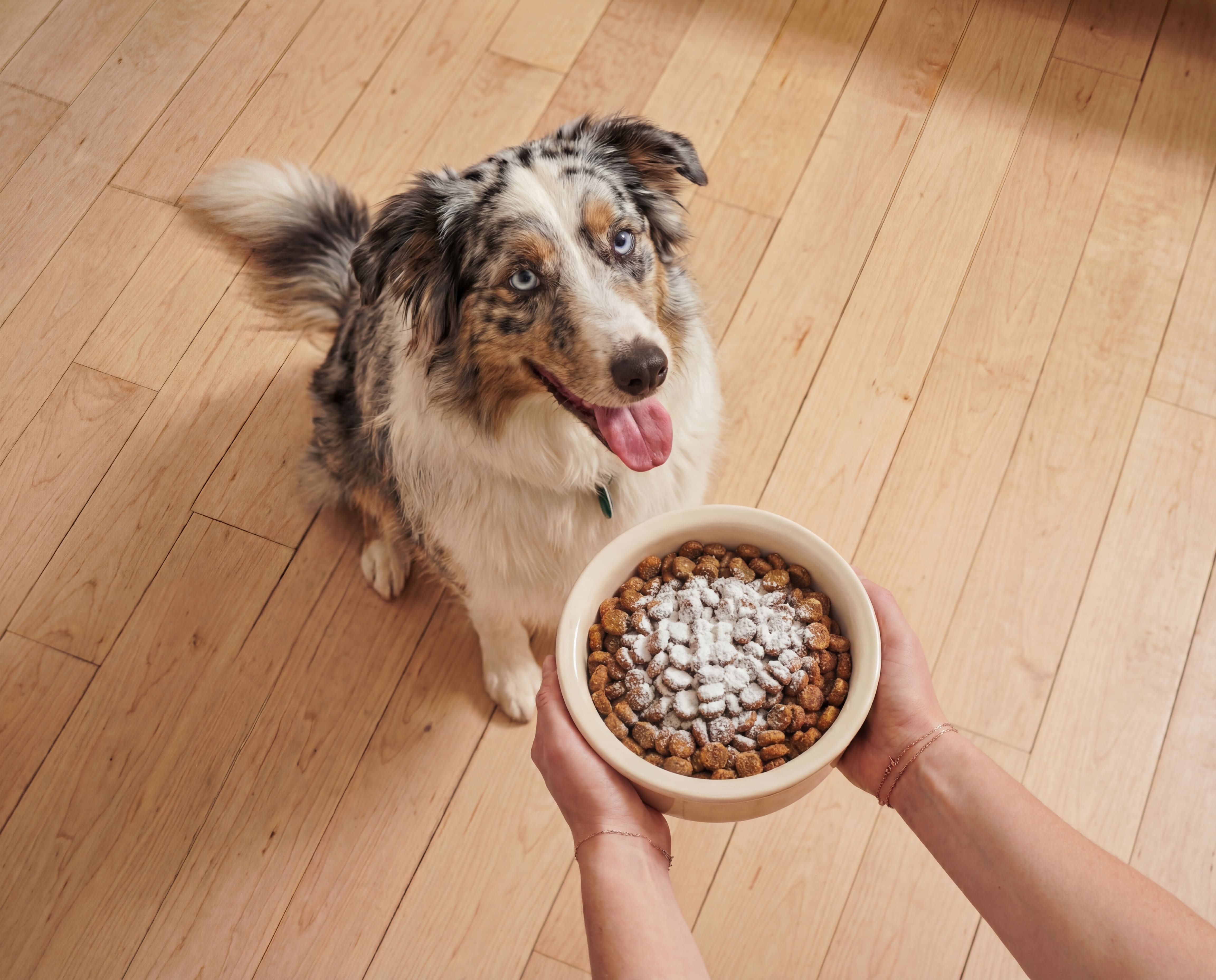 Barsk campaign still 4
