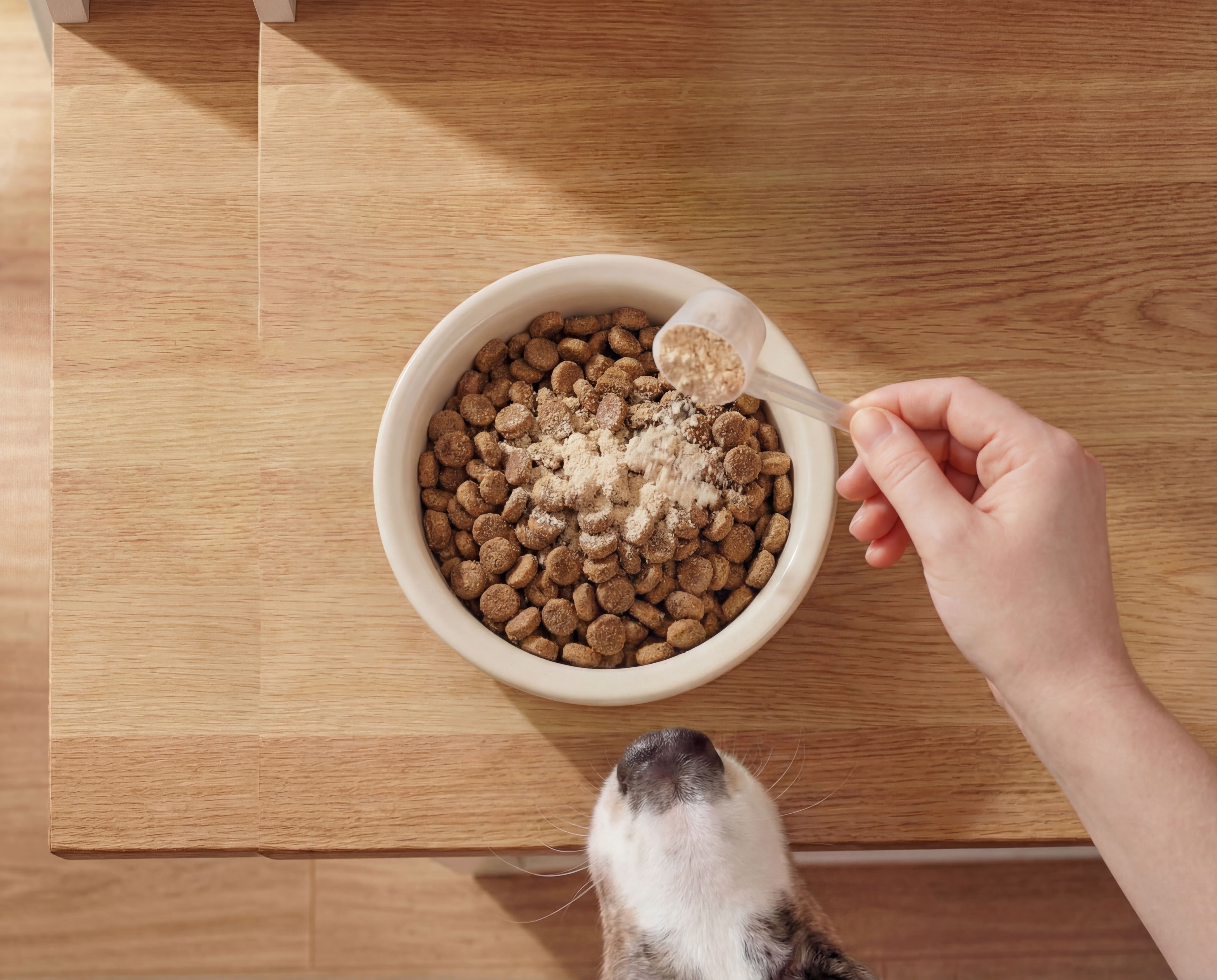 Barsk campaign still 8