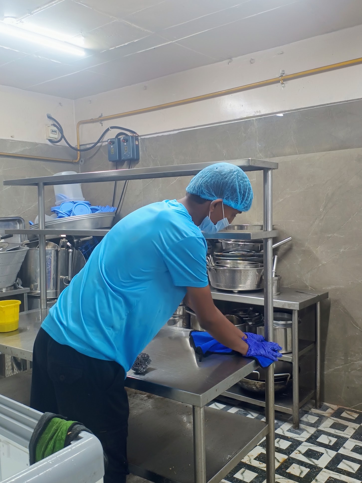 image of pest control procedures