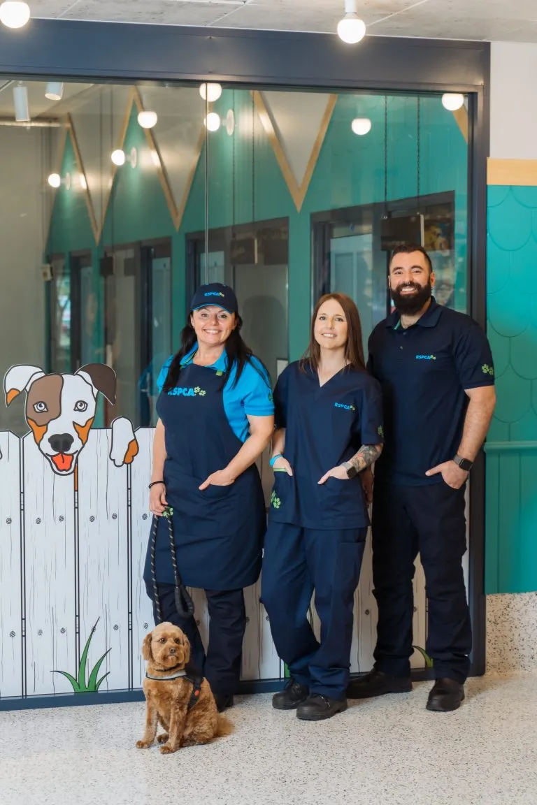 RSPCA