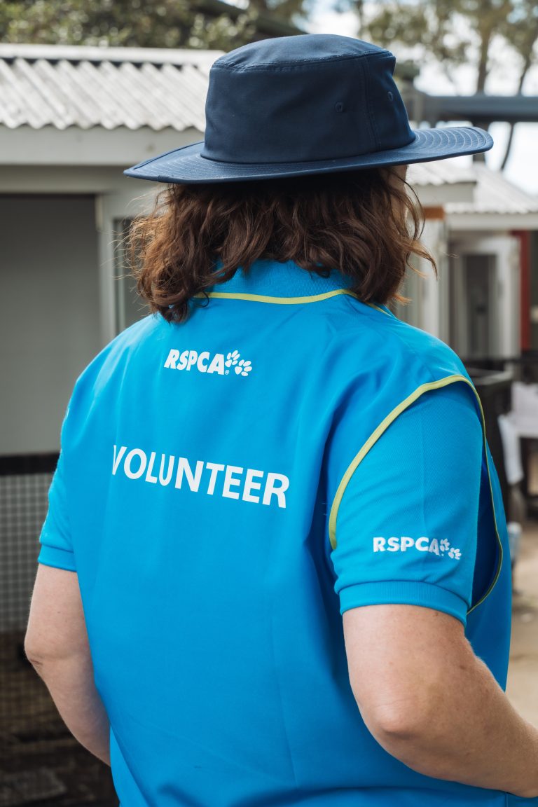 rspca blue volunteer vest