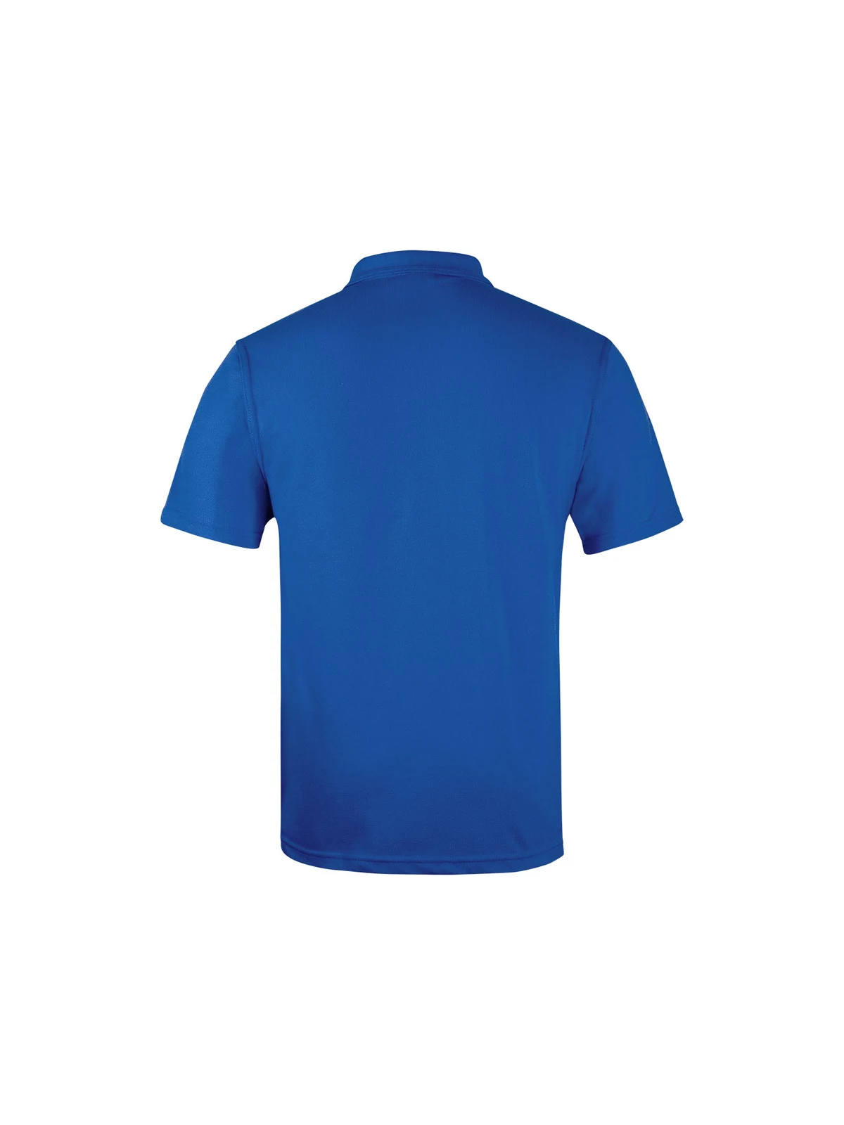 210 Polo in Royal – back view