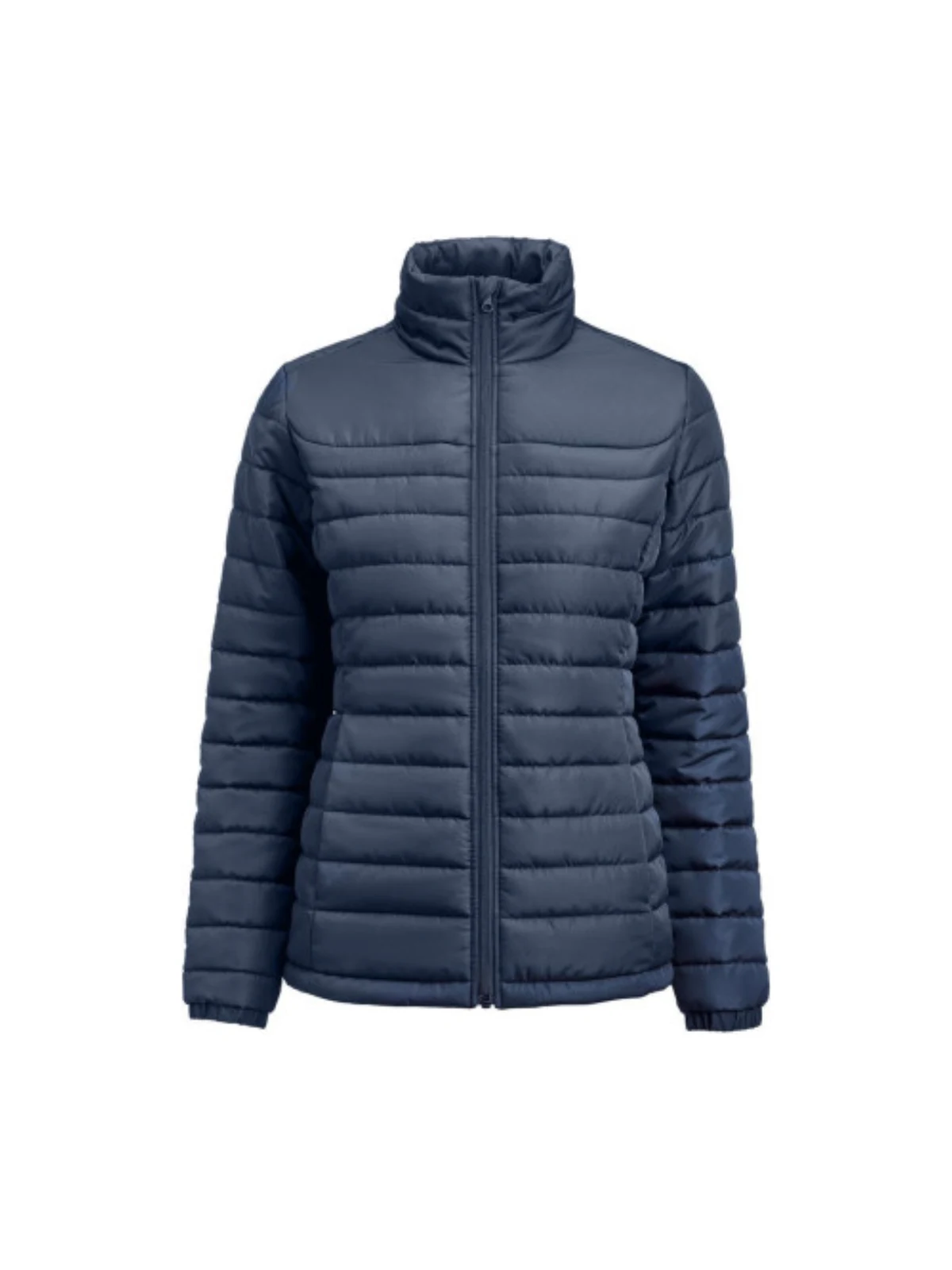 Arches Women's Padded Jacket in Navy