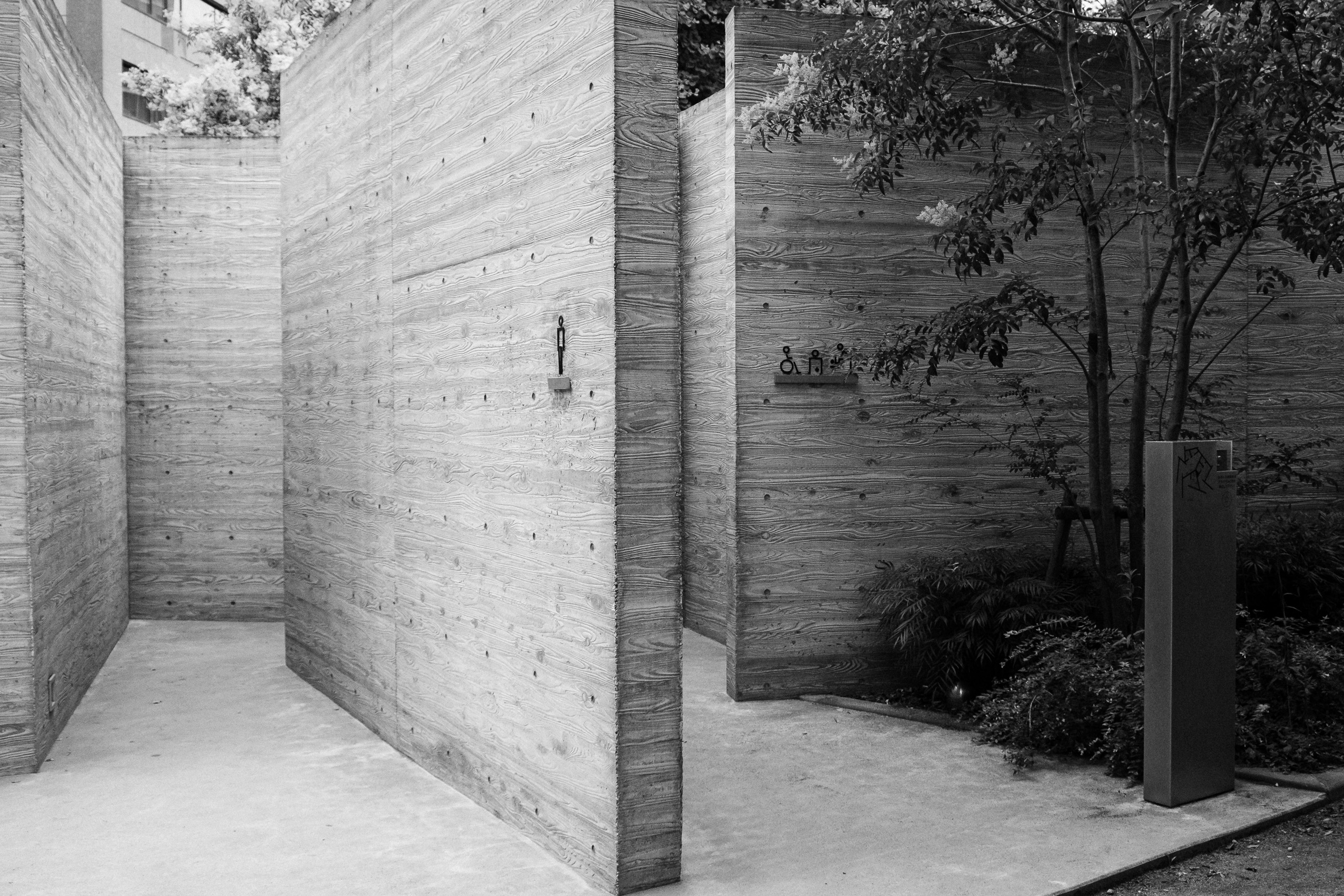 Board-formed concrete walls with wood grain texture beside a small tree, black and white.
