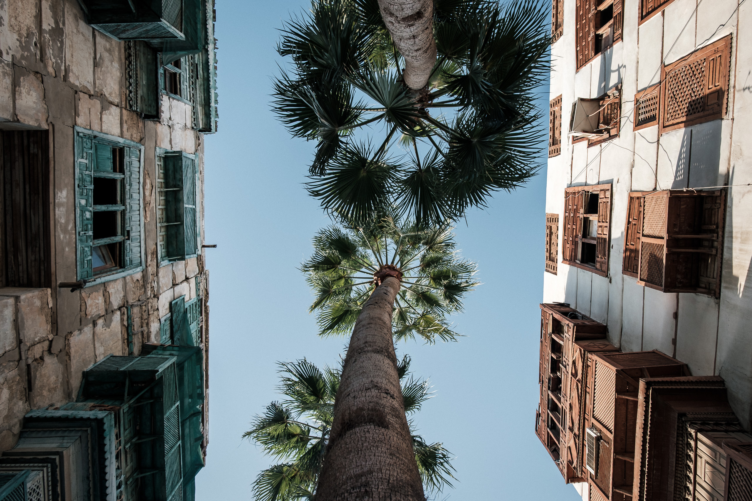 Looking up at two palm trees between old Jeddah houses with wooden shutters and blue sky
