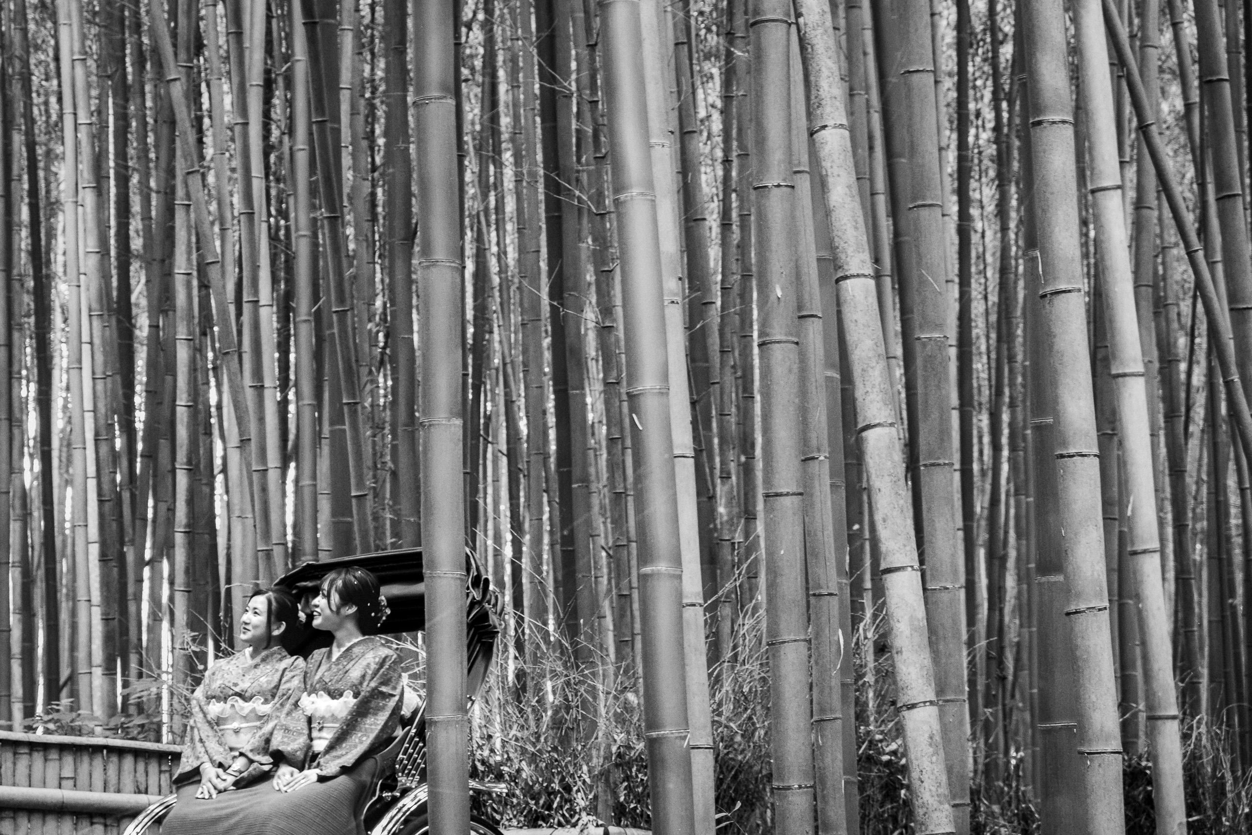Two women in kimono sit in a rickshaw at the edge of a tall bamboo forest in Arashiyama, Kyoto.